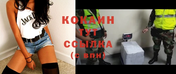 мдпв Михайловск