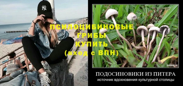 a pvp Михайлов