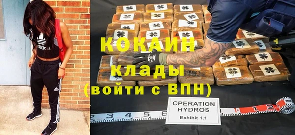мдпв Михайловск