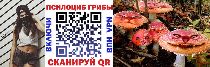 Галлюциногенные грибы ЛСД  нарко площадка наркотические препараты  Городище 